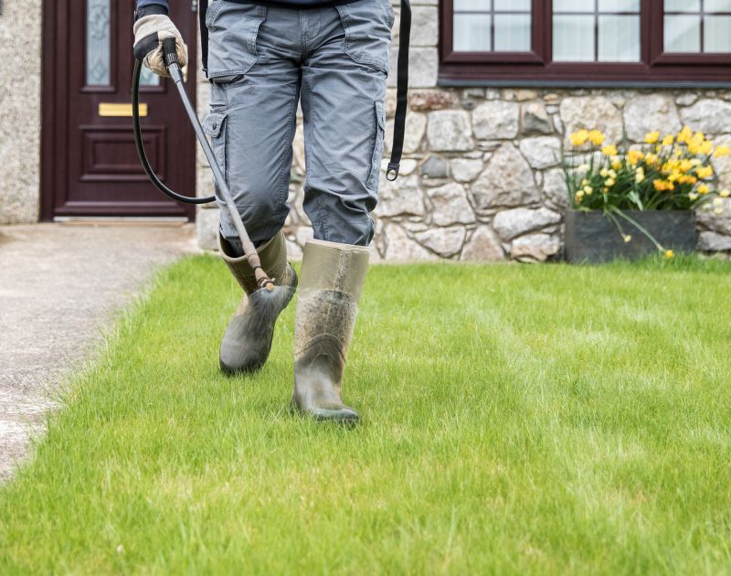 Landscaping Rock Installation
