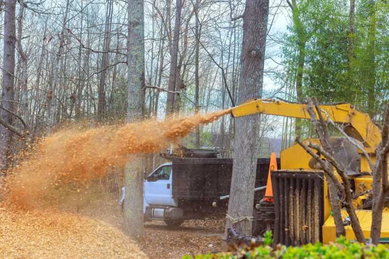 Wood Chips Installation