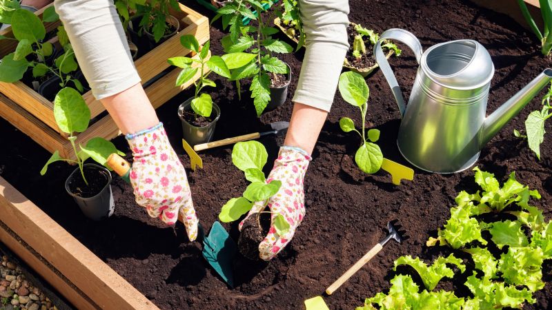 Garden Bed Construction in Ventura County, CA