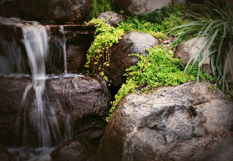 Water Feature Landscaping in Honolulu, HI